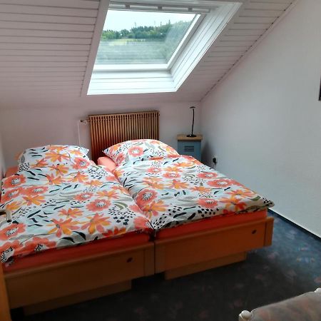 Apartment Preising Willingen  Εξωτερικό φωτογραφία